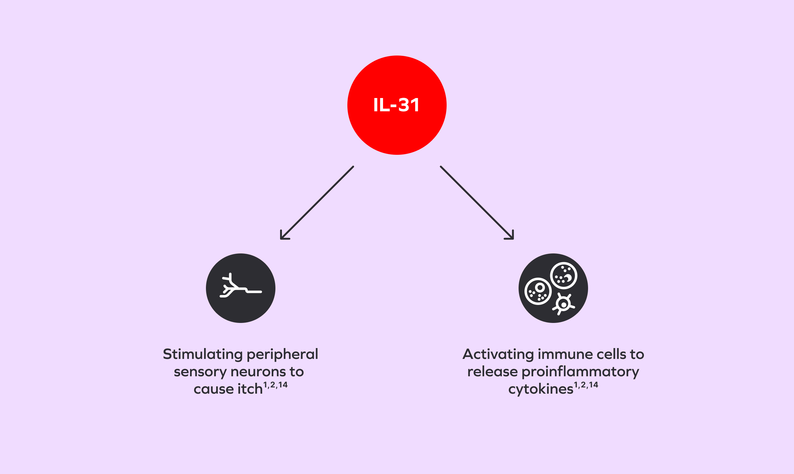 A red circle labeled "IL-31." Two arrows extend from the circle, pointing to 2 more icons below it.